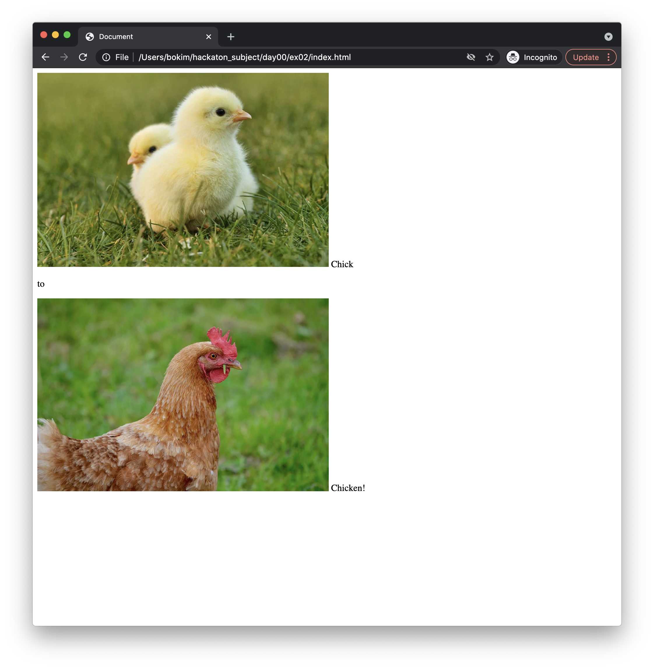 ex02 example photo